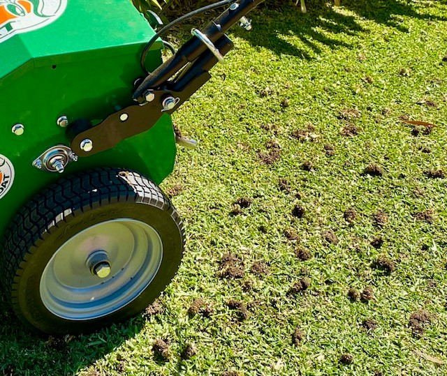 Lawn Aerator in action close up.